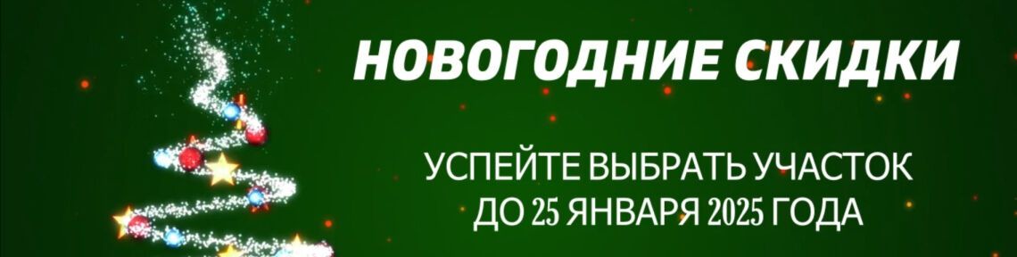 Грандиозные новогодние скидки до 25 января 2025 года!