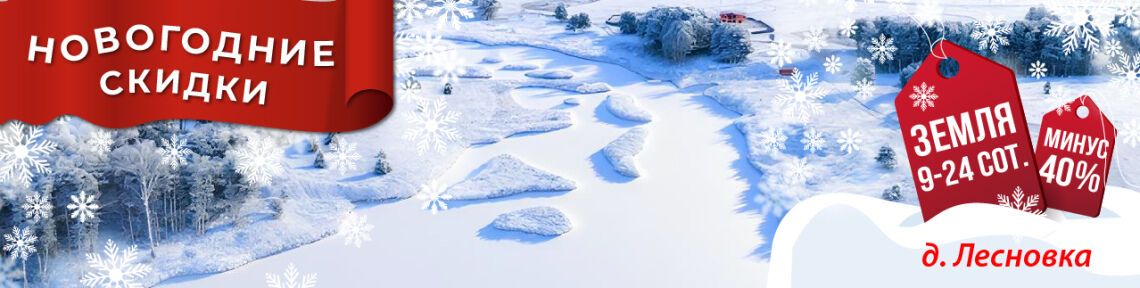Новогодние скидки в деревне Лесновка