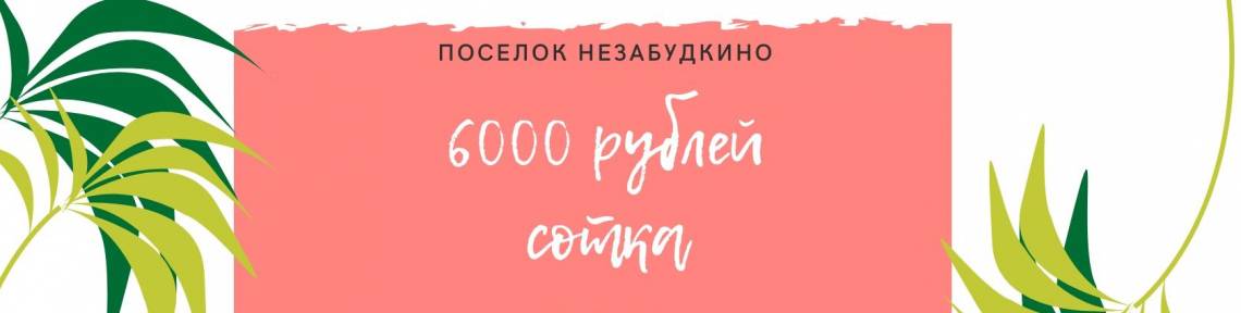 МЕГА АКЦИЯ в Незабудкино