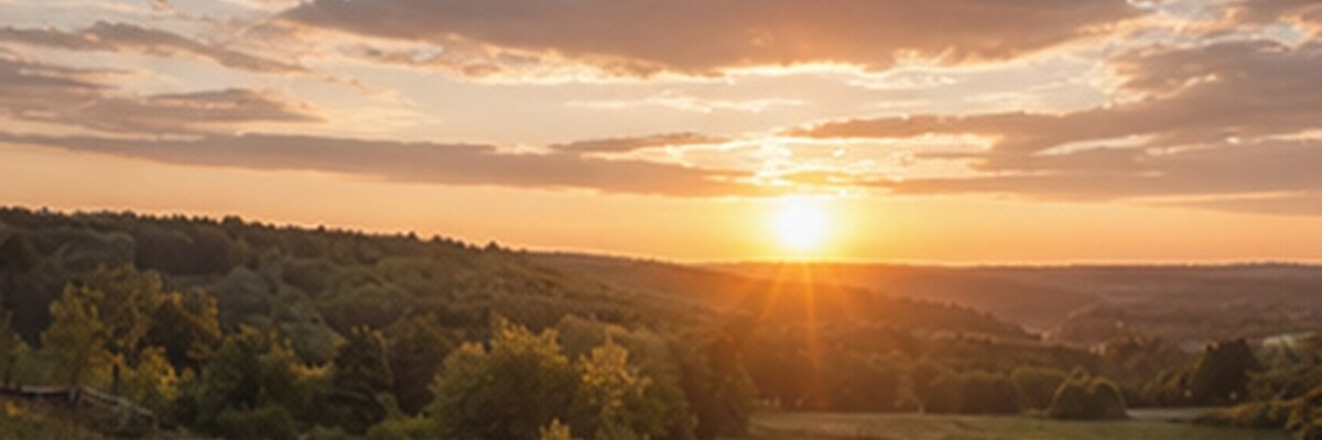 Что понять перед просмотром объектов