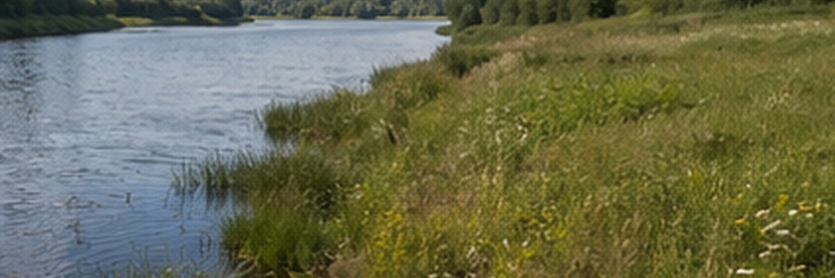 Как проверить участок у воды до аванса