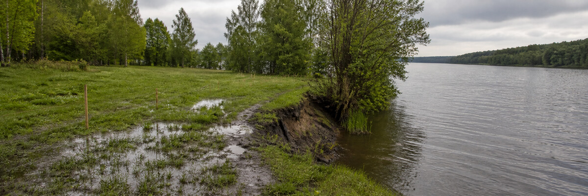 Что у Оки нельзя откладывать на потом - Участок у Оки в Заокском районе: как оценить локацию, берег и подъезд