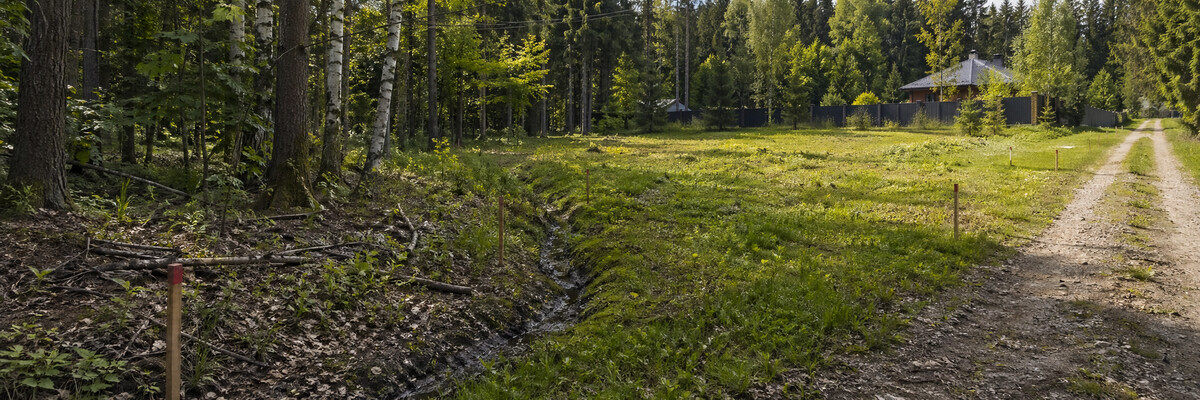 Что смотреть на месте - Участок рядом с лесом: плюсы, ограничения и что проверить