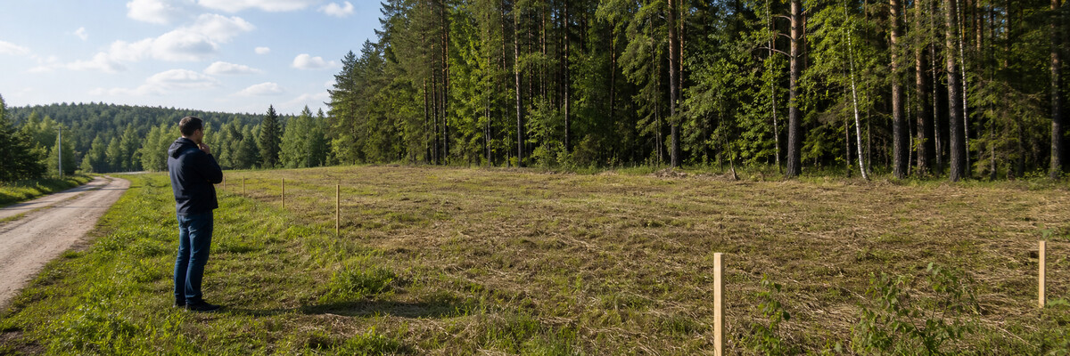 Как принять решение по участку рядом с лесом - Участок рядом с лесом: плюсы, ограничения и что проверить