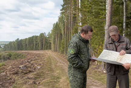 Большие изменения в Лесном кодексе: что начнёт действовать в 2027–2028 годах