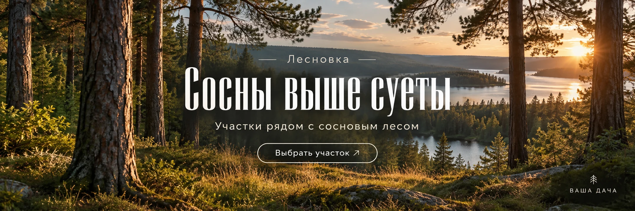 Лесновка · Сосны выше суеты