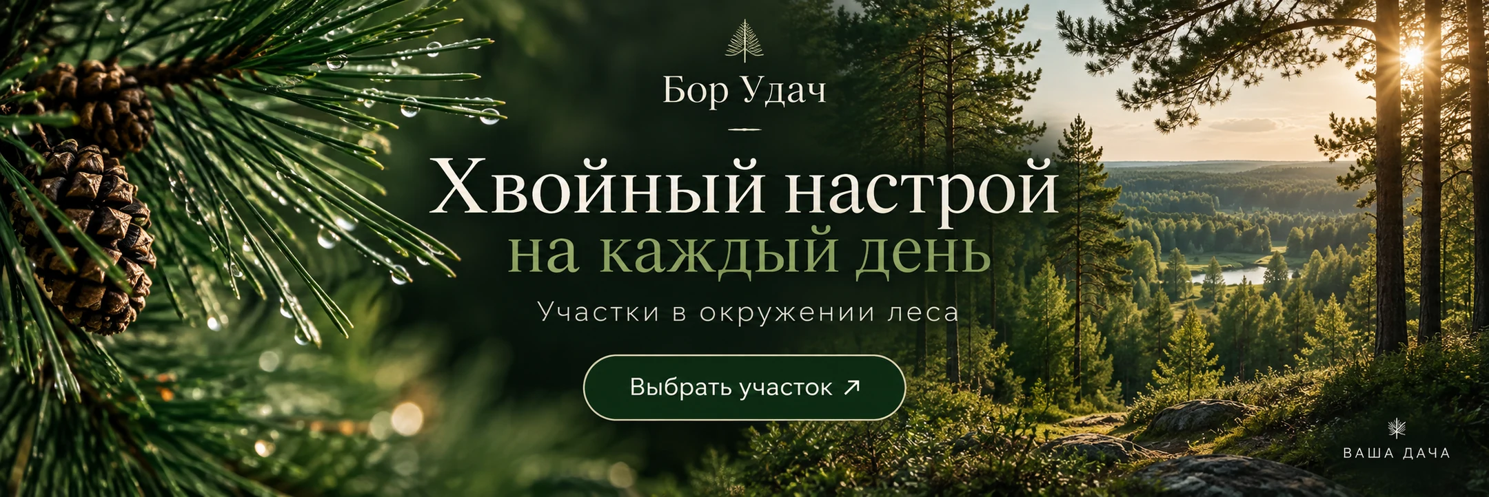 Бор Удач · Хвойный настрой на каждый день