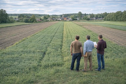 Земельная доля