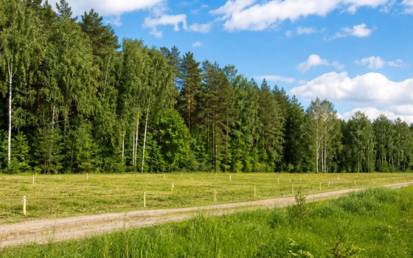 Открытие второй очереди продаж в деревне Русятино