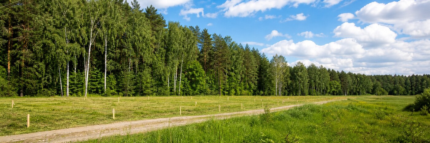 Открытие второй очереди продаж в деревне Русятино