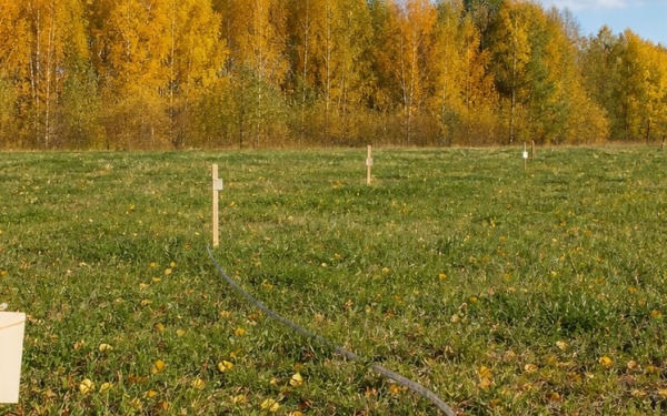 Осень низких цен!