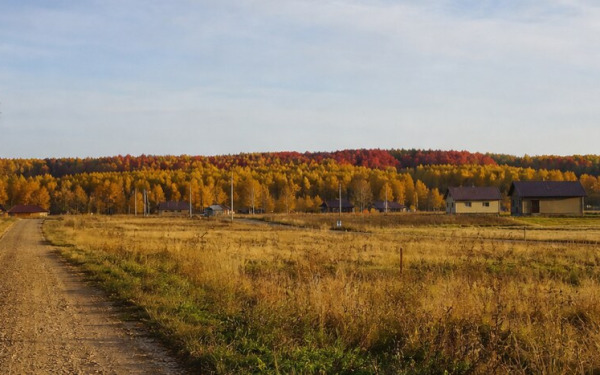 Краски осени в Гибкино