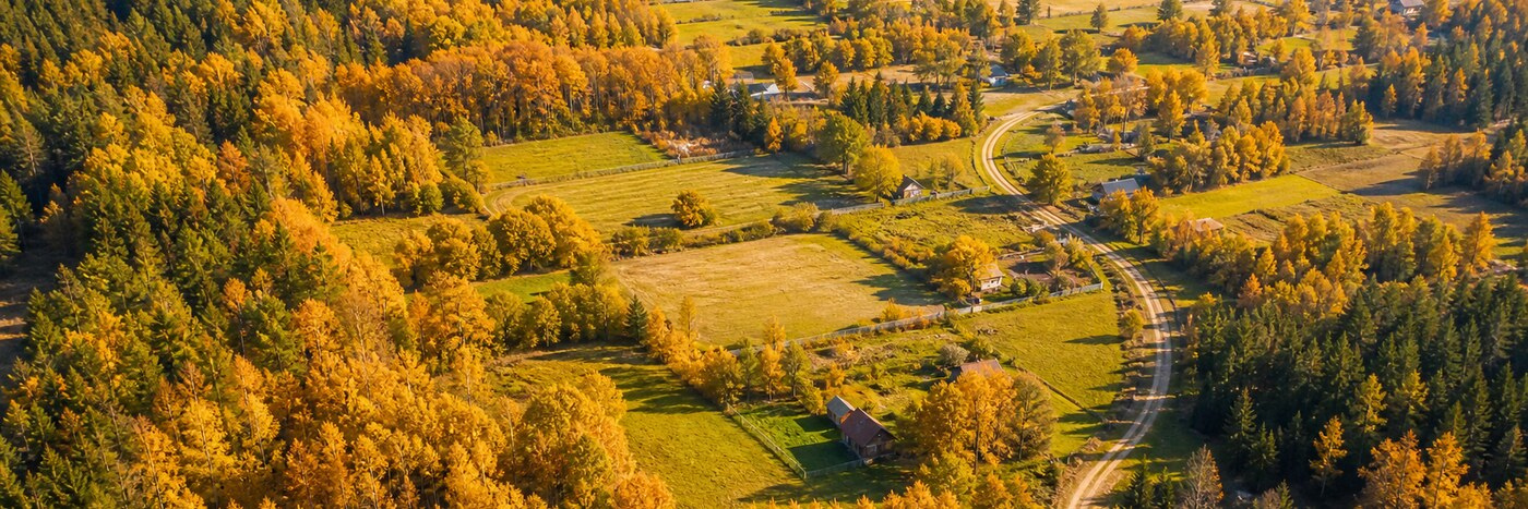 Вторая весна в Гибкино