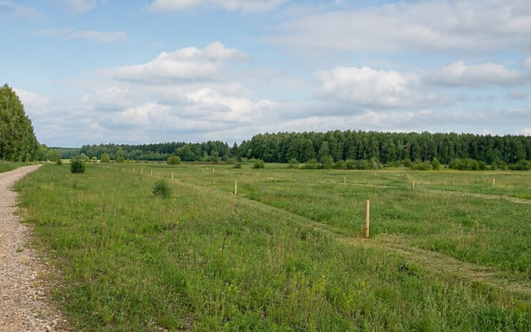 Открытие новой очереди продаж в деревне Пахомово