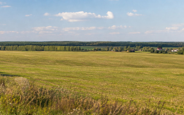 В продаже появился большой участок 6,7 Га в близи деревне Филатово. Для тех кто хочет заниматься сельскохозяйственным производством.