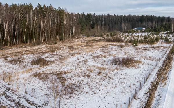 У нас превосходное предложение по земельному  участку в СНТ  Шульгино 