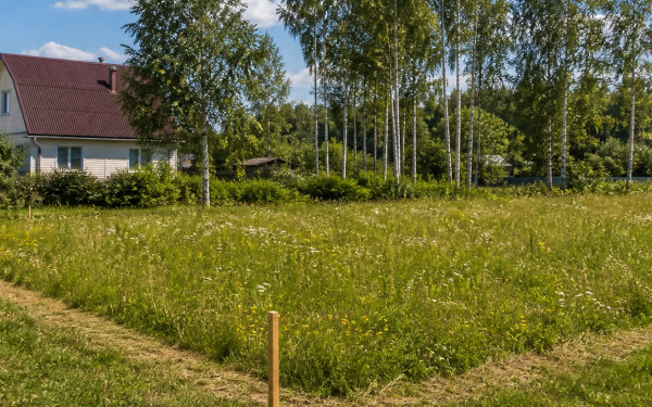 У вас есть уже квартира, но вы хотите жить на природе . У нас есть прекрасное предложение в деревне Шеверняево.