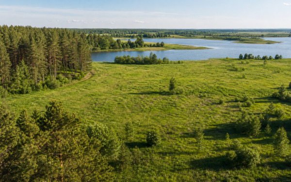 Просторный земельный участок у соснового леса и водоемов.