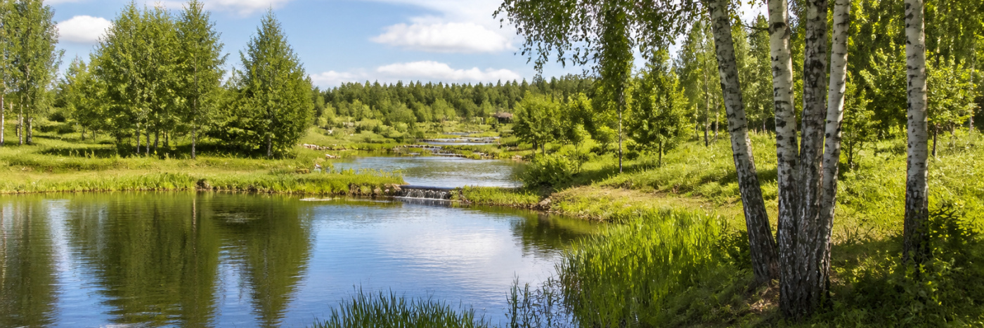 Местечко возле березовой рощи с каскадом водоёмов.