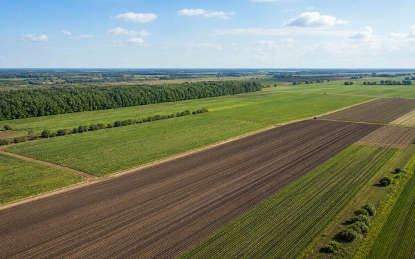За два года Россия вернула в сельхозоборот около 1 млн ГА земли