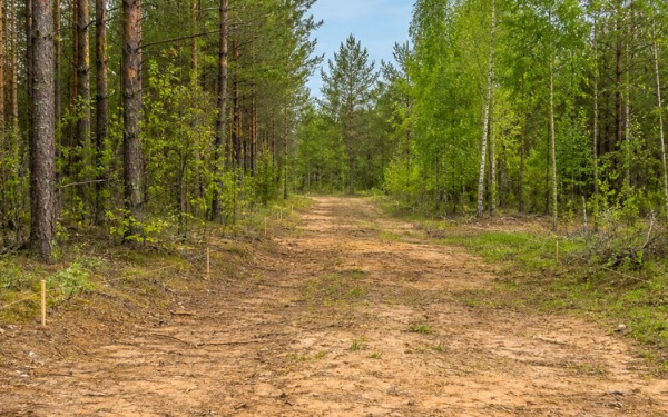 Когда начнется гредировка дорог в Конюшино?