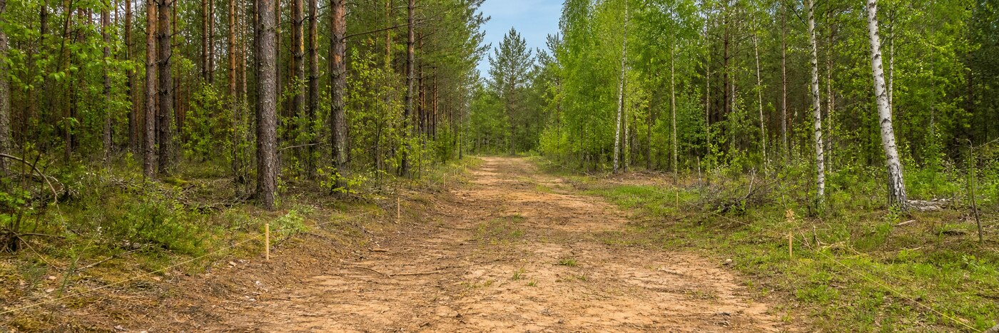 Когда начнется гредировка дорог в Конюшино?