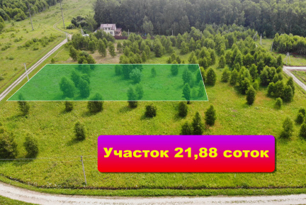 Просторный земельный участок у соснового леса и водоемов.
