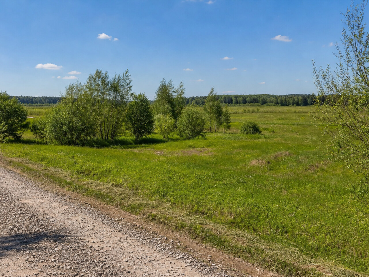 Участок № 258 площадью 9.90 сот. в поселке Васильково - фото 1