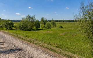 Фото участка № 258 площадью 9.90 сот. в поселке Васильково