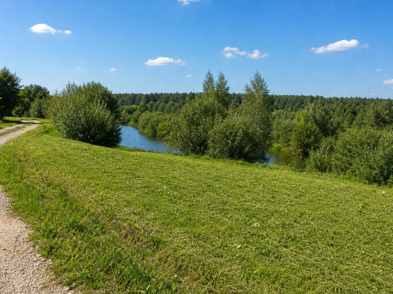 Участок № 266 площадью 20.30 сот. в поселке Васильково - фото 1