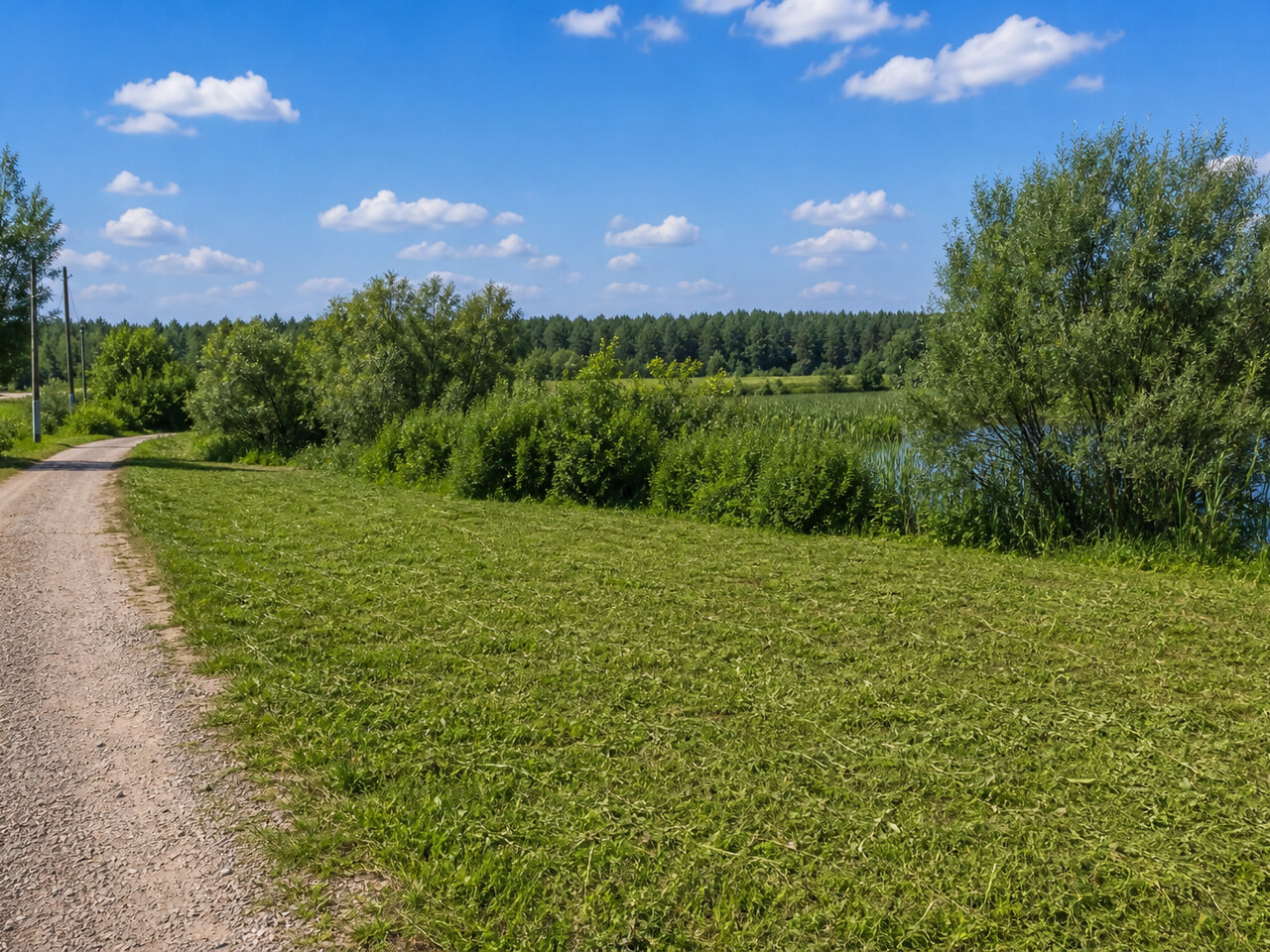 Участок № 265 площадью 26.95 сот. в поселке Васильково - фото 1