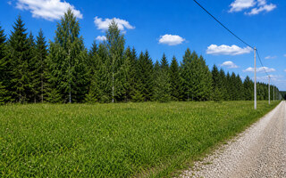 Фото участка № 49 площадью 12,00 сот. в деревне Пашково