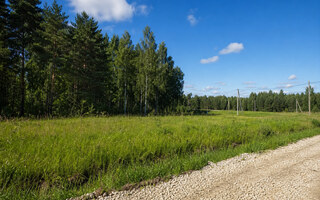 Фото участка № 101 площадью 8,50 сот. в деревне Пашково