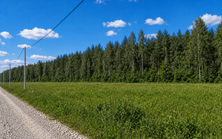 Фото участка № 116 площадью 26,91 сот. в деревне Пашково