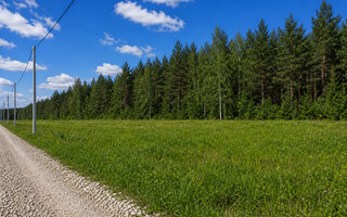 Фото участка № 117 площадью 12,00 сот. в деревне Пашково