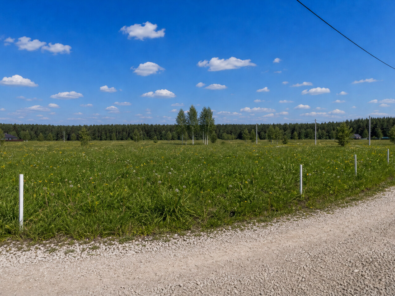 Участок № 104 площадью 8.00 сот. в деревне Конюшино - фото 1