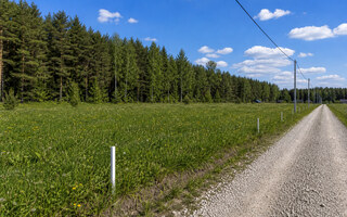 Фото участка № 107 площадью 8.00 сот. в деревне Конюшино