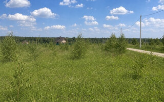 Фото участка № 161 площадью 7.74 сот. в деревне Русятино 2