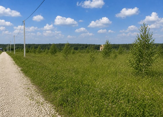 Фото участка № 174 площадью 7,20 сот. в деревне Русятино 2