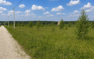 Фото участка № 174 площадью 7.20 сот. в деревне Русятино 2