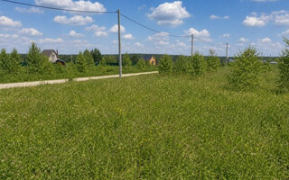 Фото участка № 175 площадью 7.81 сот. в деревне Русятино 2