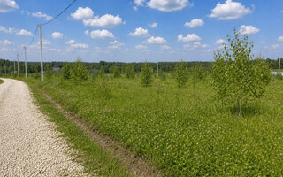 Фото участка № 180 площадью 8.16 сот. в деревне Русятино 2