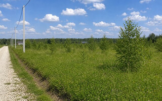 Фото участка № 184 площадью 7.84 сот. в деревне Русятино 2