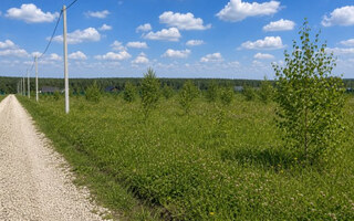 Фото участка № 185 площадью 7.20 сот. в деревне Русятино 2