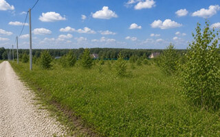 Фото участка № 186 площадью 7.20 сот. в деревне Русятино 2