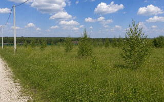 Фото участка № 188 площадью 7.20 сот. в деревне Русятино 2