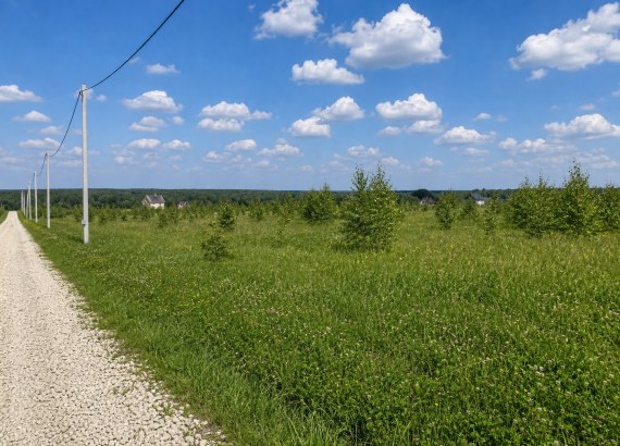 Фото участка № 189 площадью 7,88 сот. в деревне Русятино 2