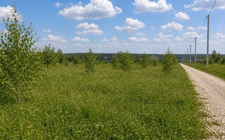 Фото участка № 190 площадью 8.01 сот. в деревне Русятино 2