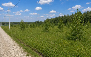 Фото участка № 200 площадью 7.20 сот. в деревне Русятино 2