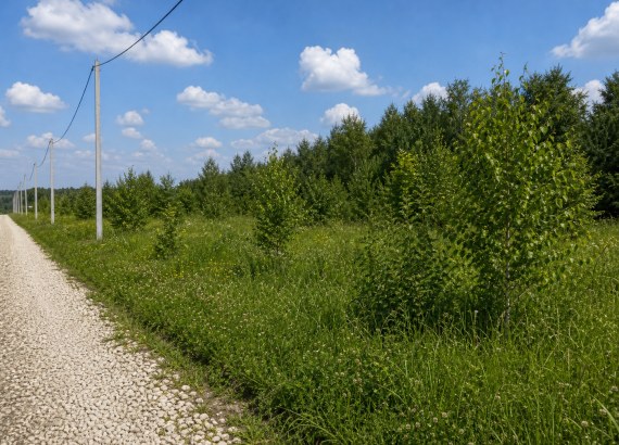 Участок №204 площадью 6 соток в деревне Русятино 2